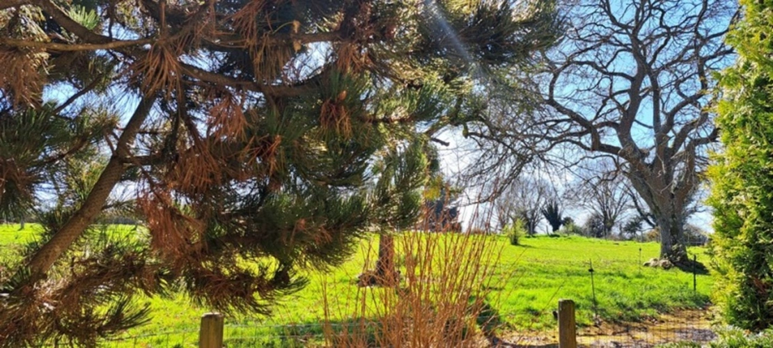 Photos 1 - Prestige - Maison 6 chb et dépendances sur vaste propriété ensoleillée close et sans vis à vis. 7Km de ALENCON, Alpes Mancelles