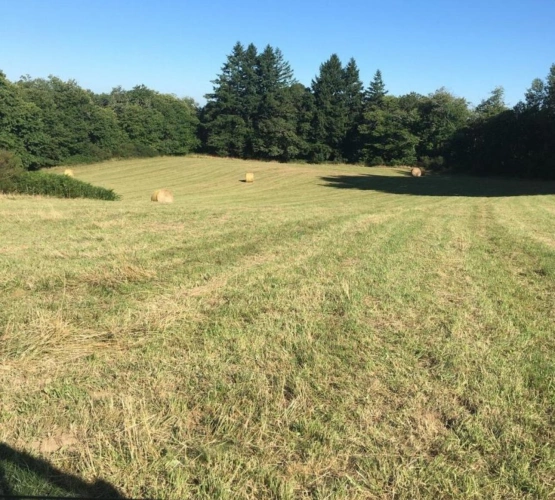 Photos 2 - Agricultural - Farm with outbuildings