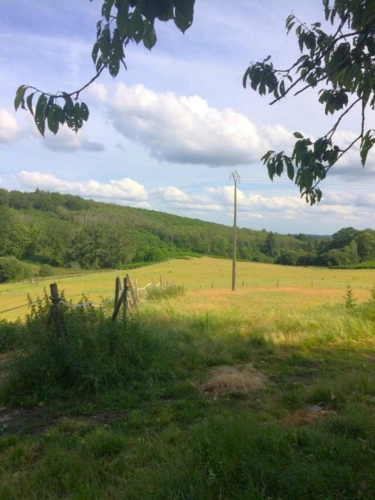 Photos 6 - Agricultural - Farm with outbuildings