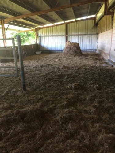 Photos 13 - Agricultural - Farm with outbuildings