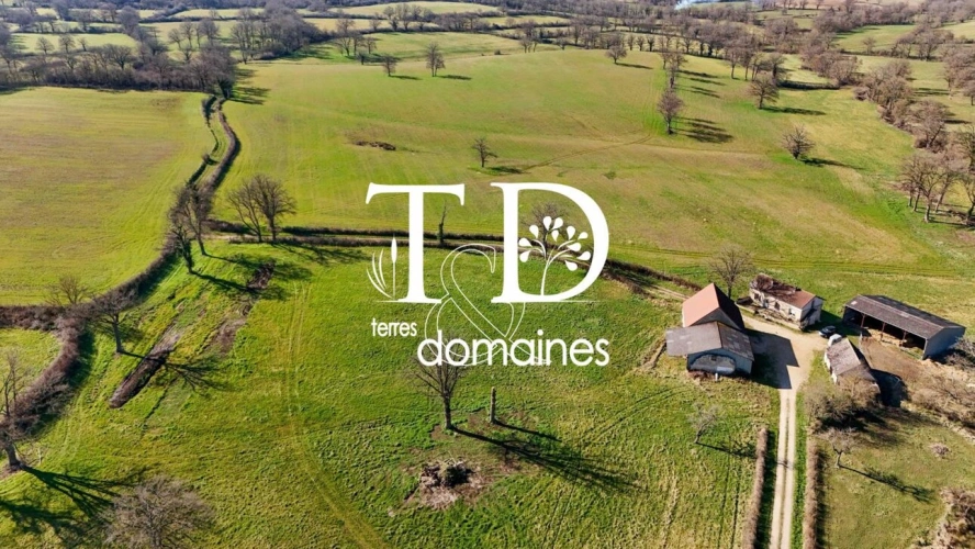 Photos 2 - Agricole - Exploitation céréalière de 170ha