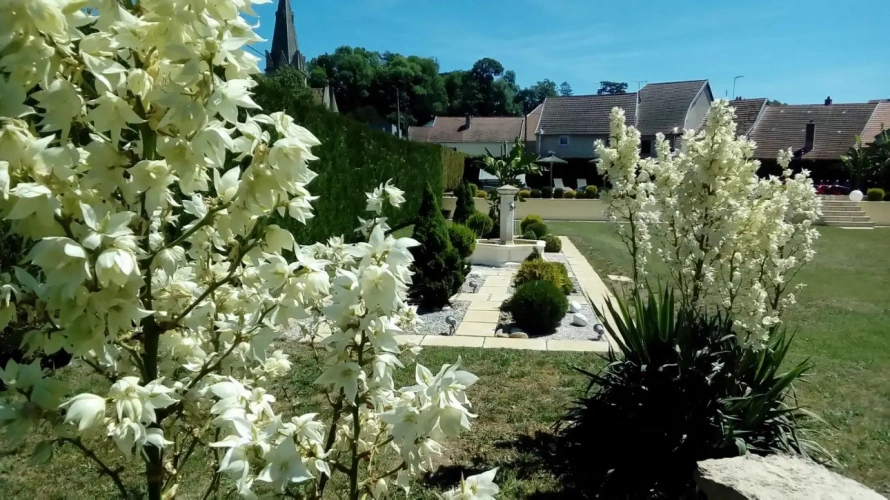 Photos 2 - Prestige - Gites de prestige