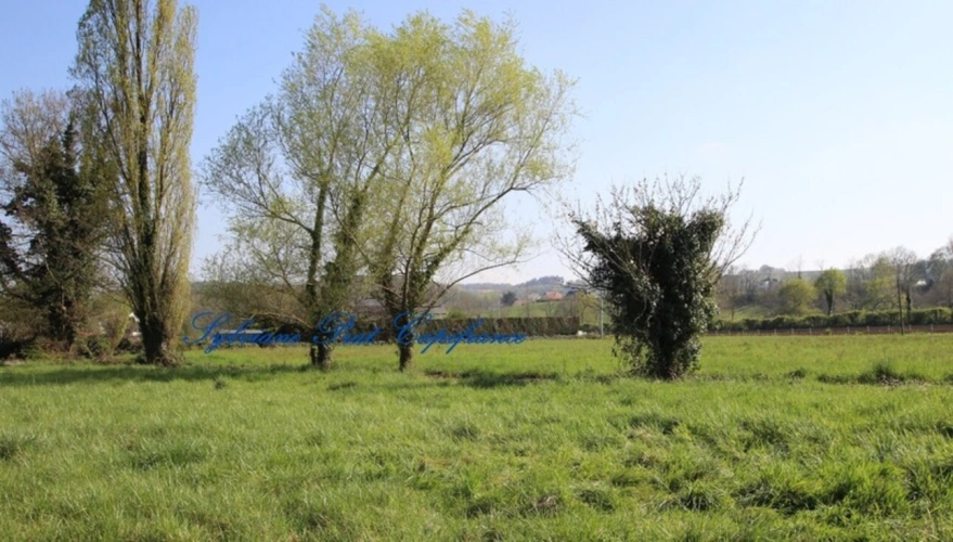 Photos 3 - Foncière - A vendre Terrain Agricole de 15 089,00 m² ARTIGUELOUTAN (64)