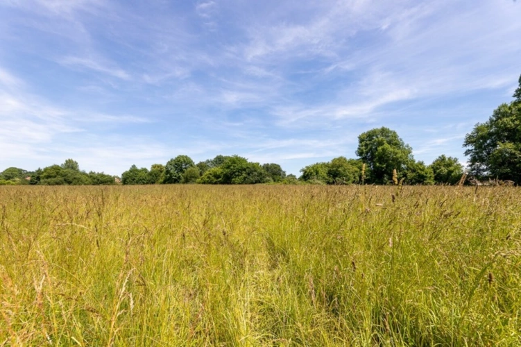 Photos 4 - Foncière - A vendre Terrain Agricole de 15 089,00 m² ARTIGUELOUTAN (64)