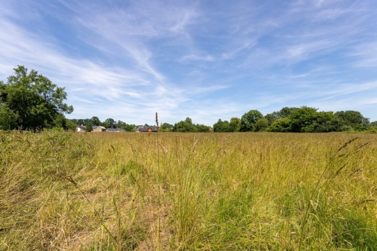 Photos 5 - Foncière - A vendre Terrain Agricole de 15 089,00 m² ARTIGUELOUTAN (64)