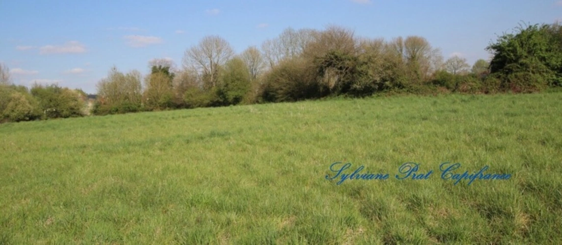 Photos 1 - Foncière - A vendre Terrain Agricole de 15 089,00 m² ARTIGUELOUTAN (64)