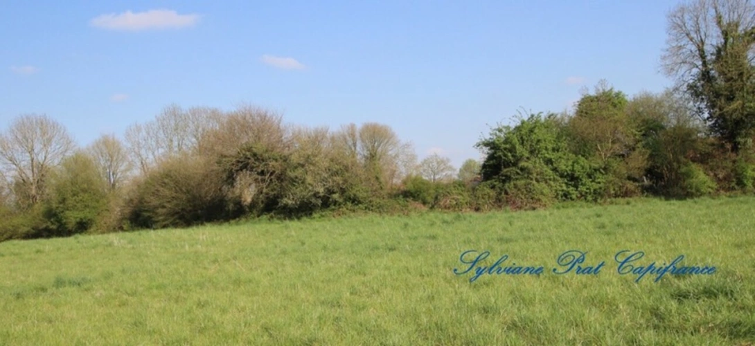 Photos 2 - Foncière - A vendre Terrain Agricole de 15 089,00 m² ARTIGUELOUTAN (64)