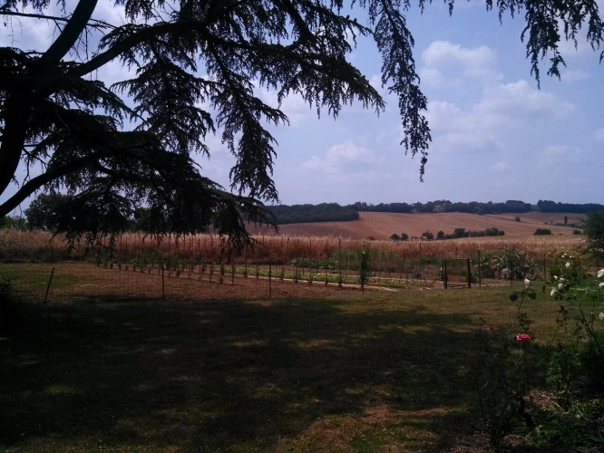 Photos 11 - Agricole - ANCIEN CORPS DE FERME & TERRES AGRICOLES