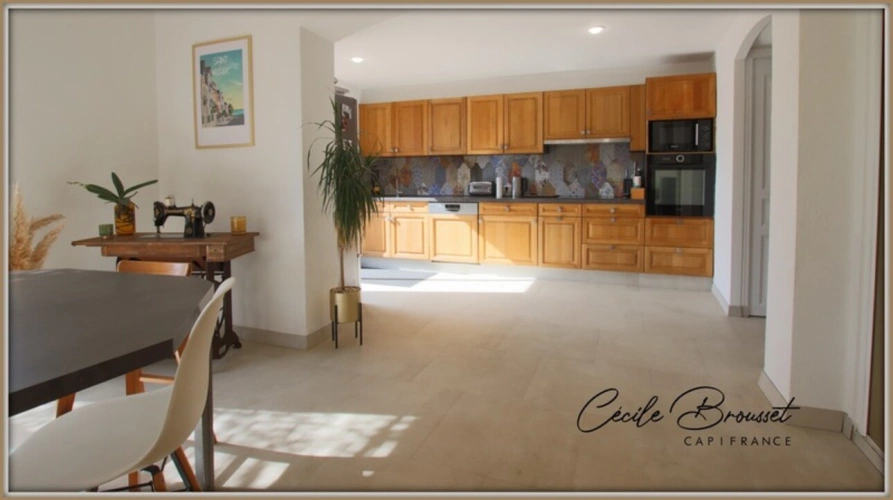 Photos 3 - Touristique - Propriete à vendre 10 pièces sur terrain de 1123m2 LE BOULOU (66)