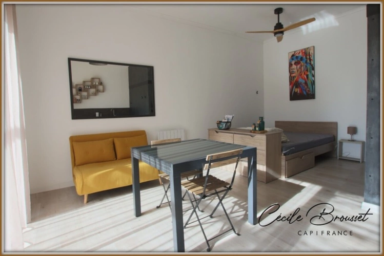 Photos 10 - Touristique - Propriete à vendre 10 pièces sur terrain de 1123m2 LE BOULOU (66)