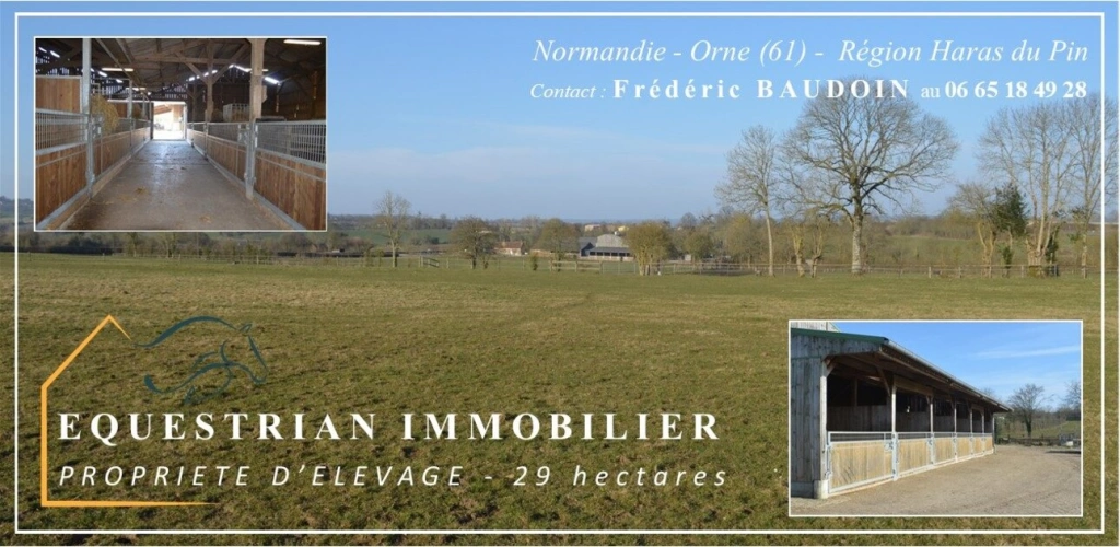 Photos 1 - Équestre - Structure d'élevage chevaux & Propriété agricole - 29 ha