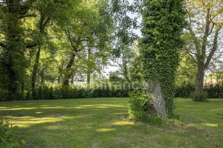 Photos 14 - Prestige - Château du XVIIIe siècle restauré avec possibilité de chambres d'hôtes proche d'Olhain