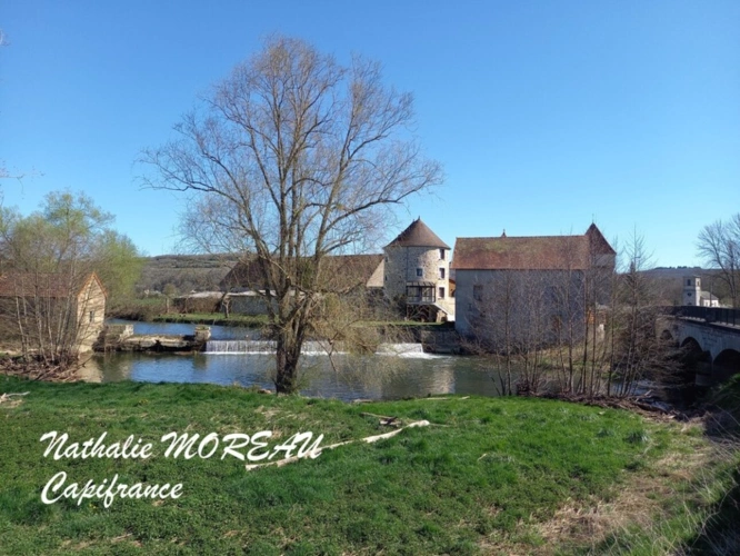 Photos 1 - Prestige - Propriete à vendre 24 pièces IGORNAY (71) - Château - Moulin à Eau -  Tours -