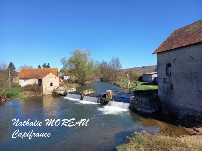 Photos 2 - Prestige - Propriete à vendre 24 pièces IGORNAY (71) - Château - Moulin à Eau -  Tours -