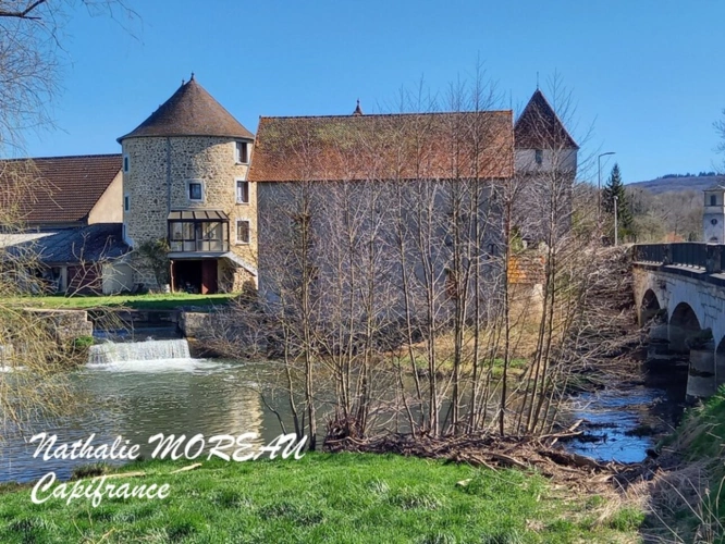 Photos 3 - Prestige - Propriete à vendre 24 pièces IGORNAY (71) - Château - Moulin à Eau -  Tours -