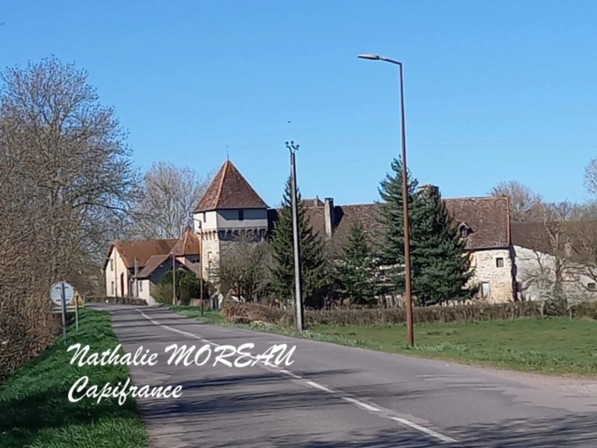 Photos 4 - Prestige - Propriete à vendre 24 pièces IGORNAY (71) - Château - Moulin à Eau -  Tours -