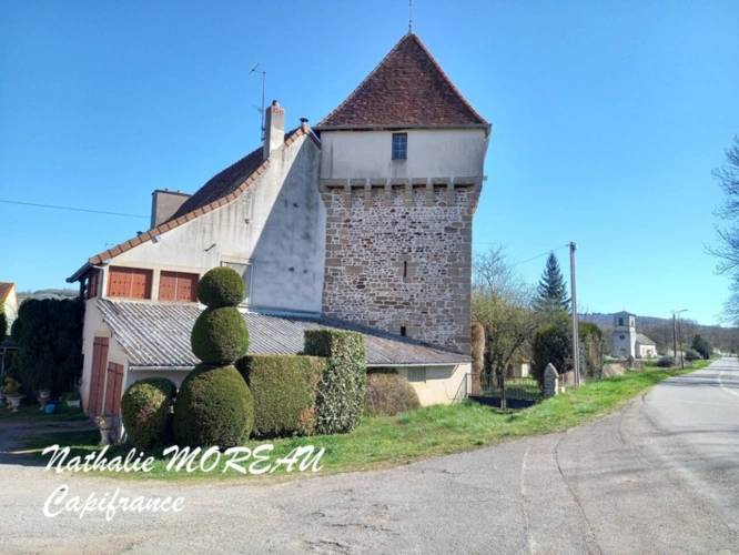 Photos 6 - Prestige - Propriete à vendre 24 pièces IGORNAY (71) - Château - Moulin à Eau -  Tours -