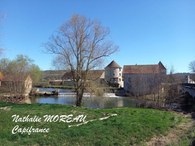Photos 7 - Prestige - Propriete à vendre 24 pièces IGORNAY (71) - Château - Moulin à Eau -  Tours -