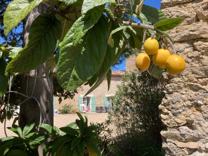Photos 10 - Touristique - Mas