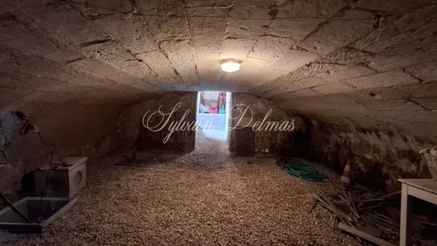 Photos 15 - Prestige - Propriete à vendre 9 pièces SAINT CYR SUR LOIRE (37)