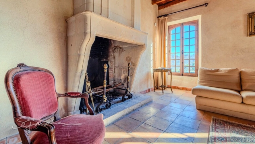 Photos 10 - Prestige - Propriete à vendre 14 pièces VIDOUZE (65)