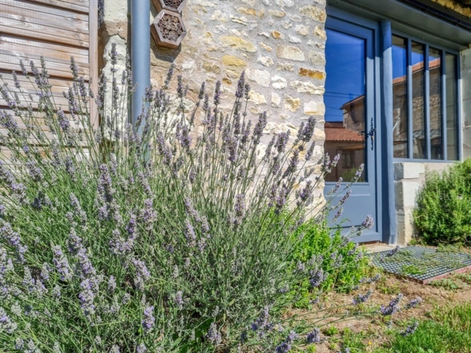 Photos 17 - Prestige - Propriété de charme rénovée – Sud Touraine, proche Richelieu