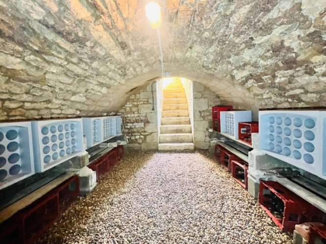 Photos 20 - Prestige - Propriété de charme rénovée – Sud Touraine, proche Richelieu