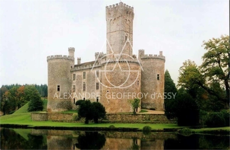 Photos 1 - Forestière - Château médiéval du XIIe siècle sur un vaste domaine de 168 hectares avec une restauration complète