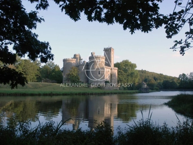 Photos 2 - Forestière - Château médiéval du XIIe siècle sur un vaste domaine de 168 hectares avec une restauration complète