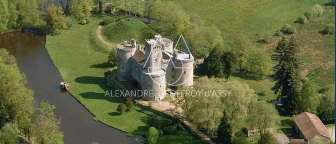 Photos 3 - Forestière - Château médiéval du XIIe siècle sur un vaste domaine de 168 hectares avec une restauration complète