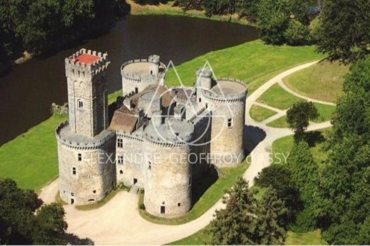 Photos 4 - Forestière - Château médiéval du XIIe siècle sur un vaste domaine de 168 hectares avec une restauration complète