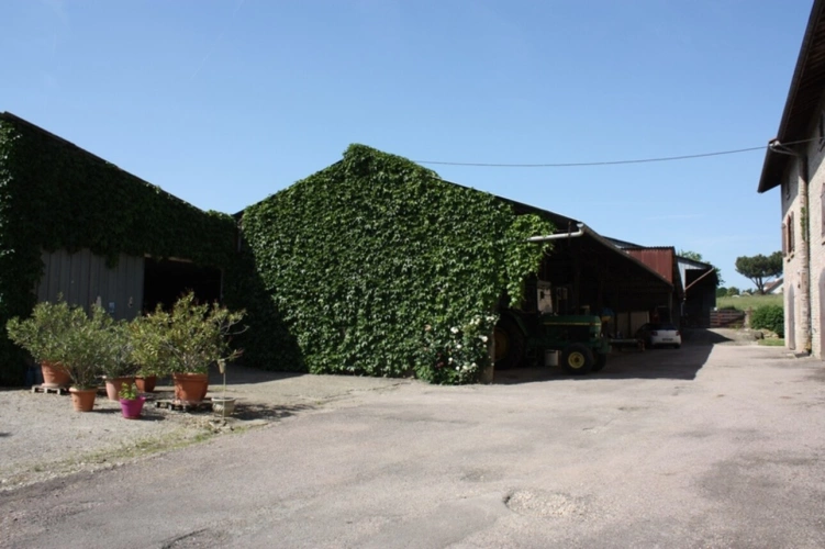 Photos 9 - Touristique - Dpt Saône et Loire (71), à vendre secteur Tournus Maison en pierre - ferme de maître sur environ 7 300 m2 de terrain à 490 000 €