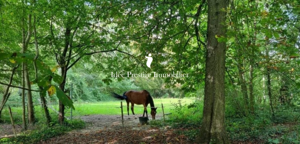 Photos 1 - Équestre - Propriété équestre en lisère de forêt