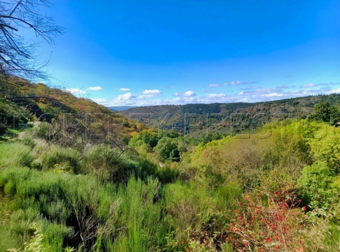 Photos 12 - Agricole - ARDECHE FERME 48 HA RUISSEAU SOURCES