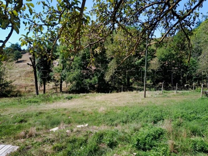 Photos 17 - Agricole - ARDECHE FERME 48 HA RUISSEAU SOURCES