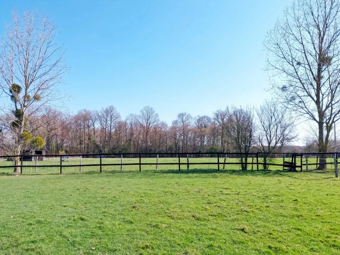 Photos 2 - Équestre - Jolie petite proprieté soignée sur 2.6 ha à l'Aigle