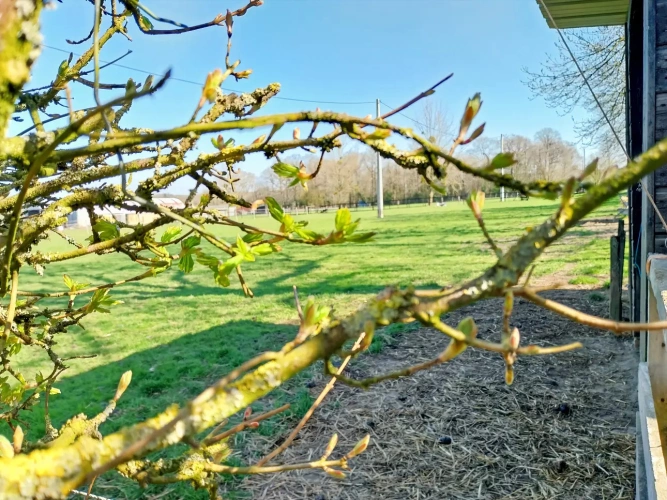 Photos 4 - Équestre - Jolie petite proprieté soignée sur 2.6 ha à l'Aigle