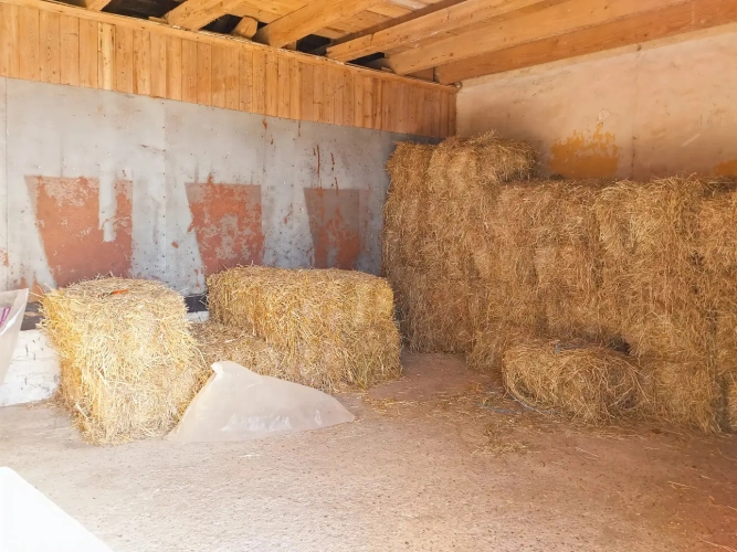 Photos 5 - Équestre - Jolie petite proprieté soignée sur 2.6 ha à l'Aigle