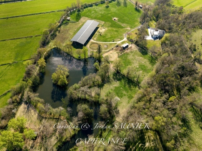 Photos 3 - Prestige - À VENDRE - MOULIN D’EXCEPTION À REVEL – PROPRIÉTÉ DE CHARME RÉNOVÉE SUR 11 HA AVEC PISCINE, ÉTANG, PHOTOVOLTAÏQUE & POTENTIEL HYDROÉLECTRIQUE à REVEL (31)