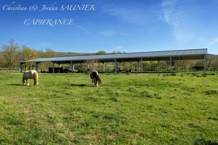 Photos 14 - Prestige - À VENDRE - MOULIN D’EXCEPTION À REVEL – PROPRIÉTÉ DE CHARME RÉNOVÉE SUR 11 HA AVEC PISCINE, ÉTANG, PHOTOVOLTAÏQUE & POTENTIEL HYDROÉLECTRIQUE à REVEL (31)