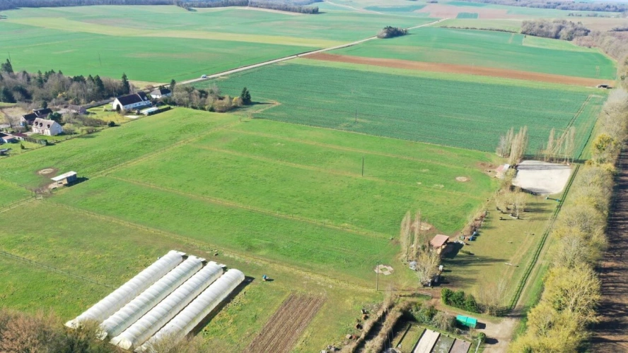 Photos 2 - Équestre - Propriété Équestre avec Maison d'Habitation et Gîte - 4