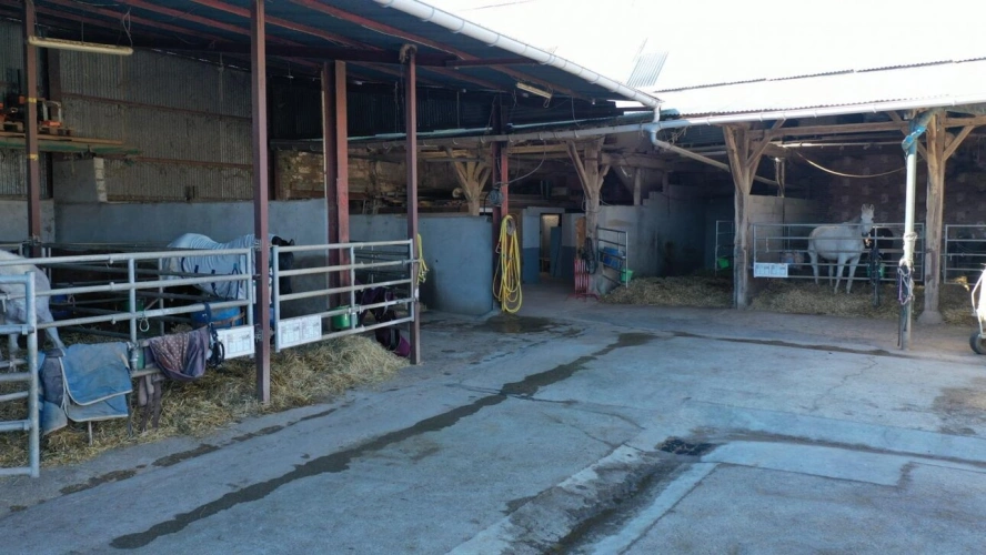 Photos 7 - Équestre - Propriété Équestre avec Maison d'Habitation et Gîte - 4