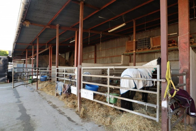 Photos 11 - Équestre - Propriété Équestre avec Maison d'Habitation et Gîte - 4