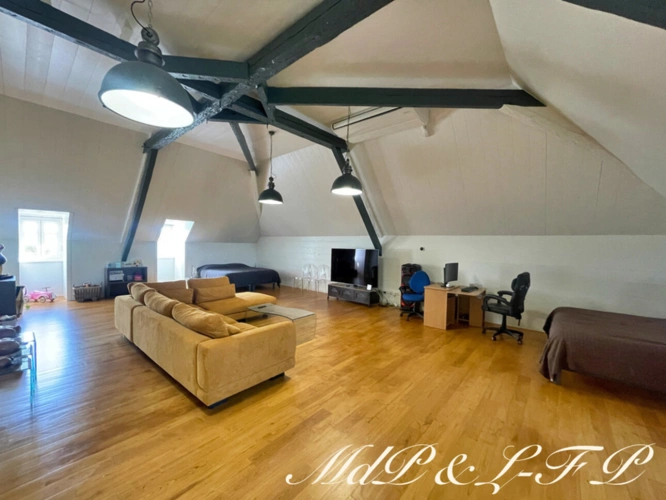 Photos 28 - Prestige - Propriete à vendre 10 pièces avec parc