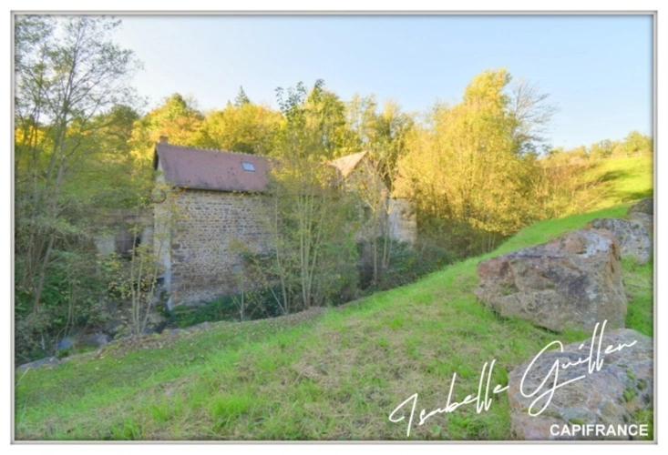 Photos 19 - Touristique - Propriéte à vendre 3 pièces NERIS LES BAINS (03)