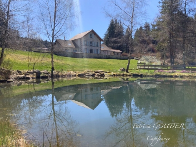 Photos 13 - Prestige - A NOIRETABLE (42)   BELLE PROPRIETE  de 275 M2 avec piscine chauffée , étang, dépendance, TERRAIN de 9000 M2