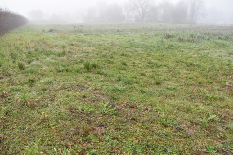 Photos 15 - Foncière - Dpt Deux Sèvres (79), à vendre COURLAY terrain constructible en parti