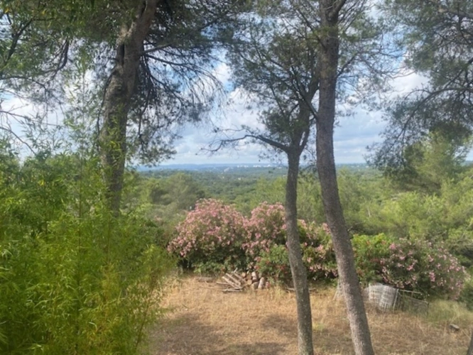Photos 11 - Prestige - Proprieté à vendre 6 pièces NIMES (30)