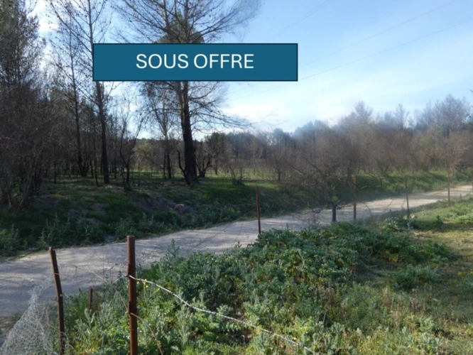 Photos 1 - Foncière - Terrain à vendre  BARBENTANE (13)