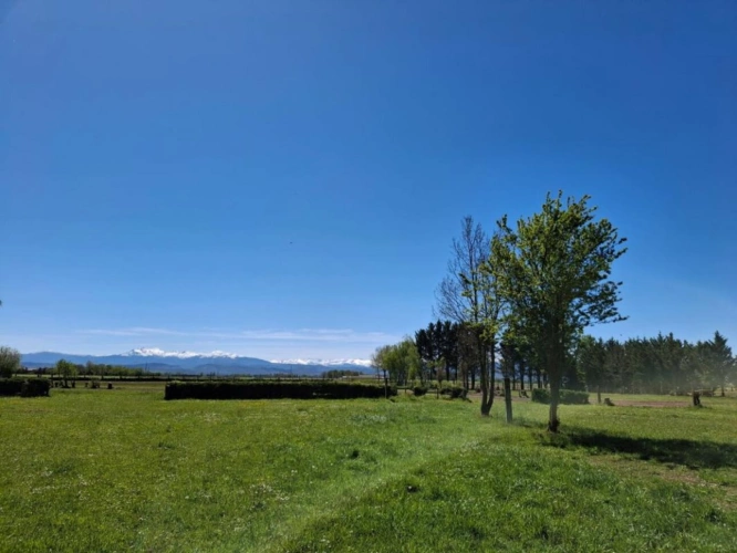 Photos 2 - Équestre - Haras / Equestre